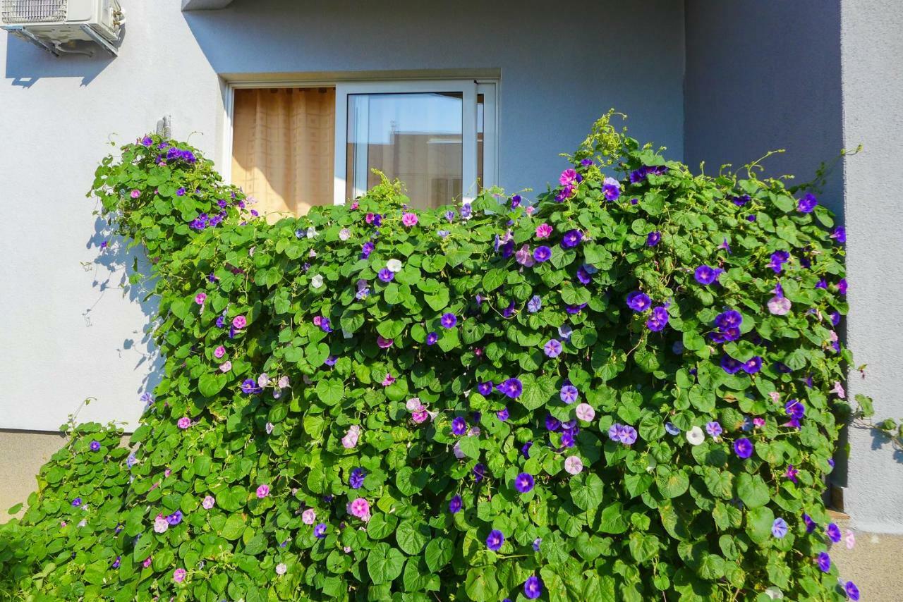 Apartamento Alise Bar Exterior foto